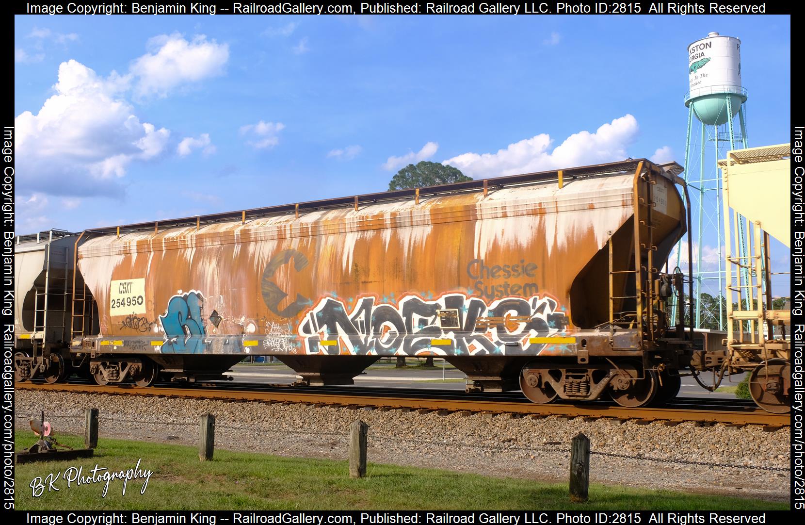 CSXT 254950 is a class 4600 Cu. Ft. ACF Covered Hopper and  is pictured in Folkston, Georgia, USA.  This was taken along the CSXT Nahunta Subdivision on the CSX Transportation. Photo Copyright: Benjamin King uploaded to Railroad Gallery on 12/29/2023. This photograph of CSXT 254950 was taken on Friday, June 10, 2022. All Rights Reserved. 
