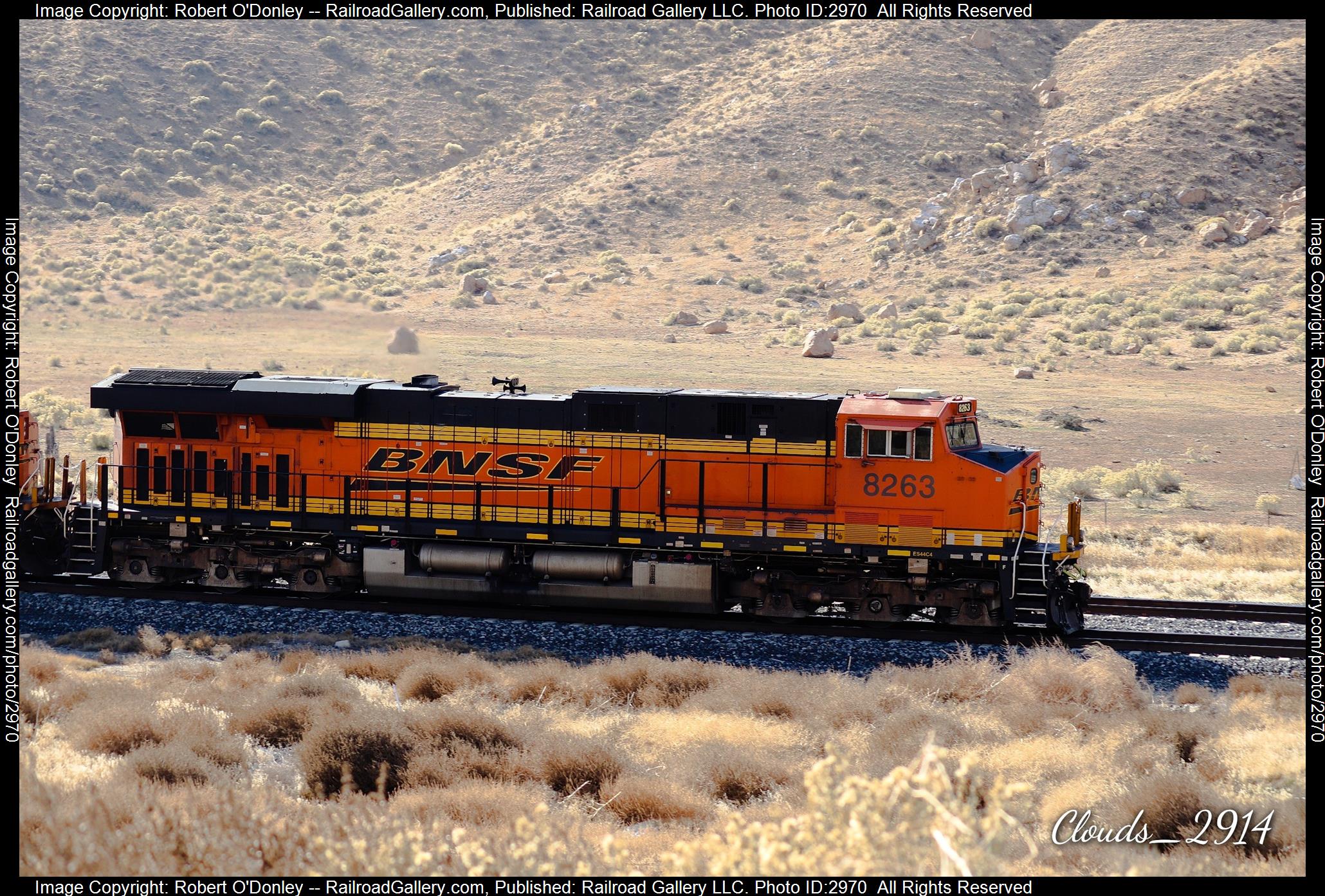 8263 is a class GE ES44C4 and  is pictured in Tehachapi , CA, United States .  This was taken along the Kern county on the BNSF. Photo Copyright: Robert O'Donley uploaded to Railroad Gallery on 01/16/2024. This photograph of 8263 was taken on Friday, December 01, 2023. All Rights Reserved. 