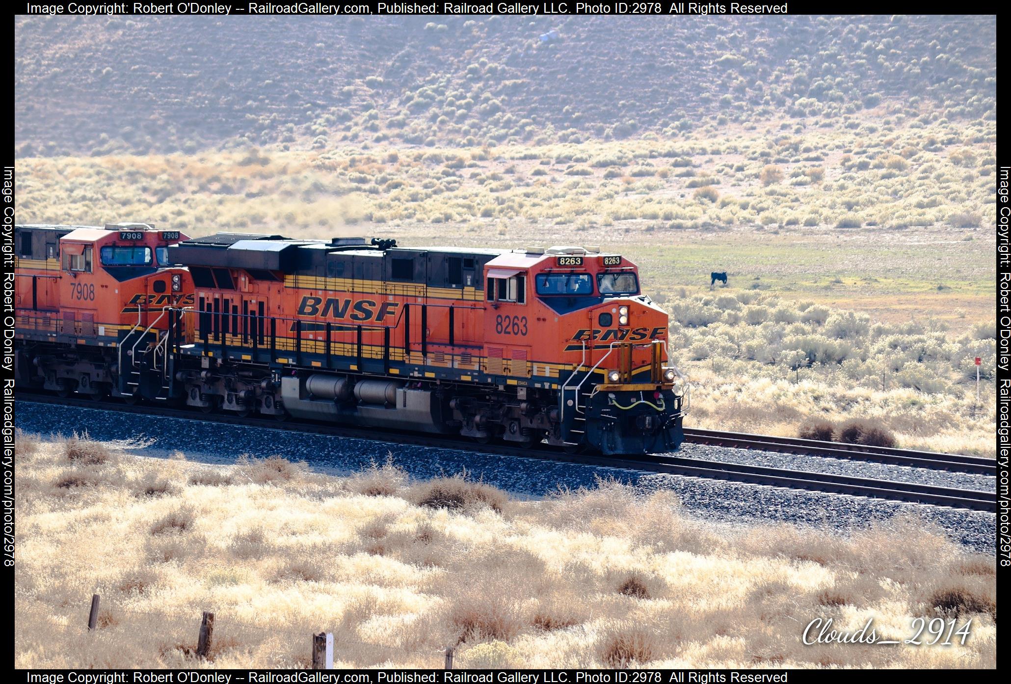8263 is a class GE ES44C4 and  is pictured in Tehachapi , CA, United States.  This was taken along the Kern County on the BNSF. Photo Copyright: Robert O'Donley uploaded to Railroad Gallery on 01/17/2024. This photograph of 8263 was taken on Friday, December 01, 2023. All Rights Reserved. 