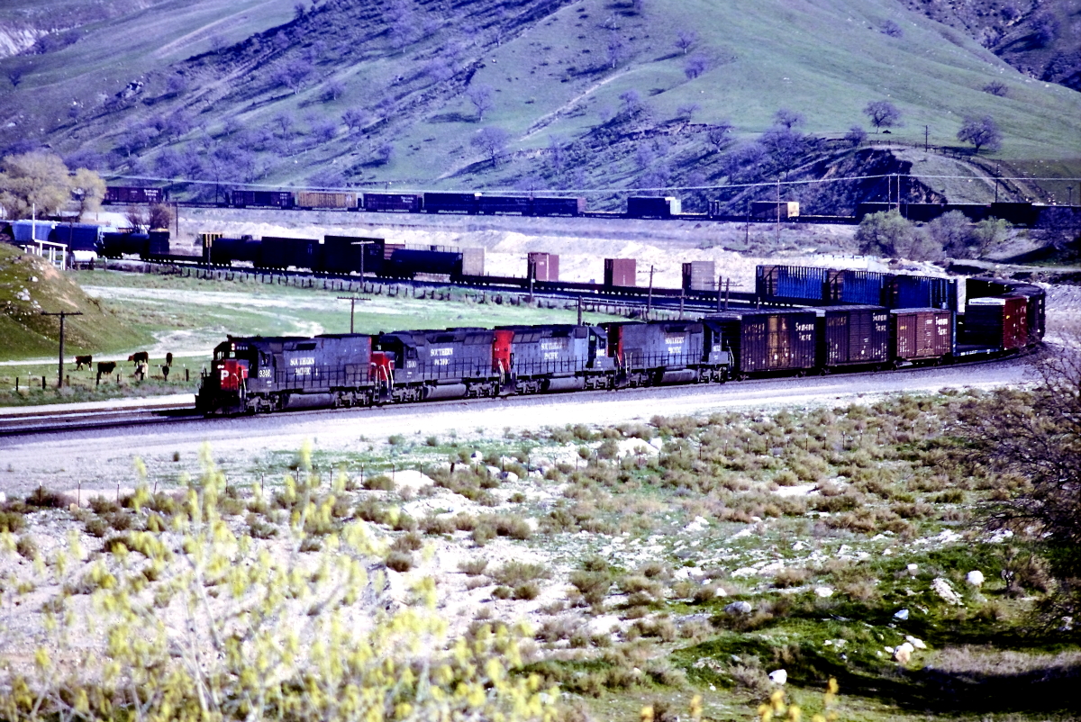 SP 9346 is a class EMD SD45T-2 and  is pictured in Caliente, California, USA.  This was taken along the Mojave/SP on the Southern Pacific Transportation Company. Photo Copyright: Rick Doughty uploaded to Railroad Gallery on 03/11/2024. This photograph of SP 9346 was taken on Sunday, March 17, 1985. All Rights Reserved. 