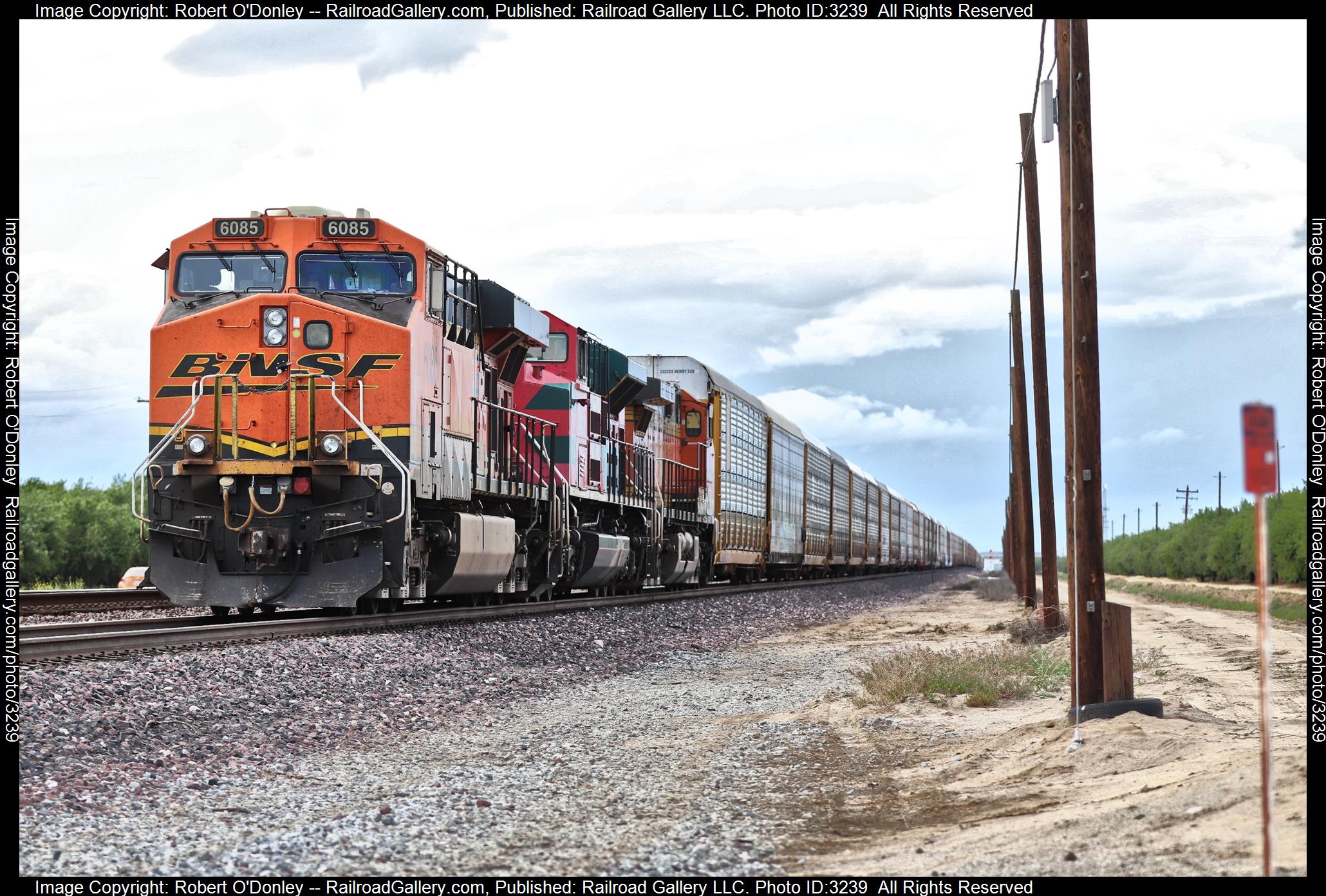 6085 is a class GE ES44AC and  is pictured in Bakersfield, California, USA.  This was taken along the Kern county on the BNSF Railway. Photo Copyright: Robert O'Donley uploaded to Railroad Gallery on 03/30/2024. This photograph of 6085 was taken on Saturday, March 30, 2024. All Rights Reserved. 