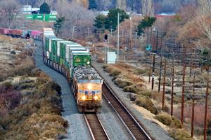 Snake River Stack Train