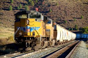 Grain Train Helpers