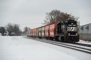 Southern-Style in the Snow