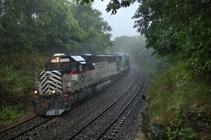 Reining in the Rain 