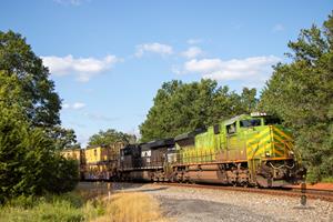 Train Photograph