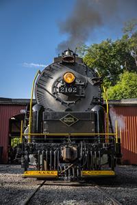 Basking in the Morning Sun at Port Clinton