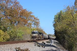 Fall in Appalachia 