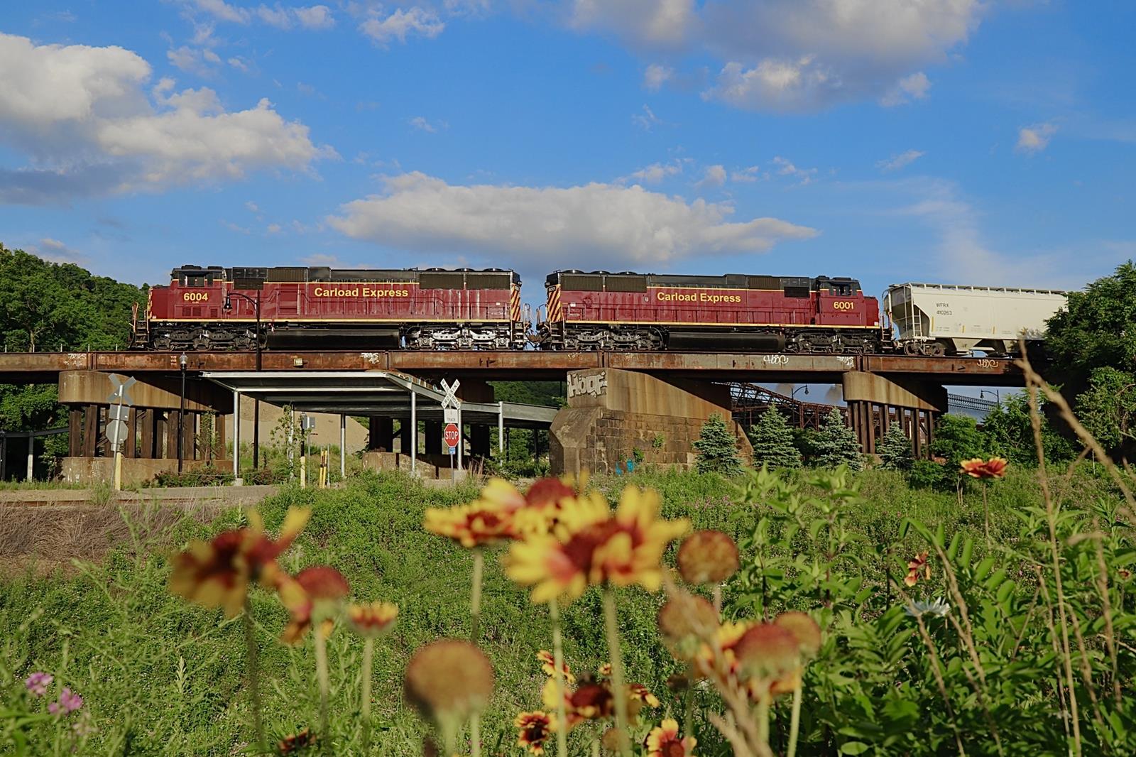 AVR 6004 is a class EMD SD60I and  is pictured in Hazelwood, Pennsylvania, USA.  This was taken along the P&W on the Allegheny Valley Railroad. Photo Copyright: Robert shook uploaded to Railroad Gallery on 11/14/2022. This photograph of AVR 6004 was taken on Thursday, June 24, 2021. All Rights Reserved. 