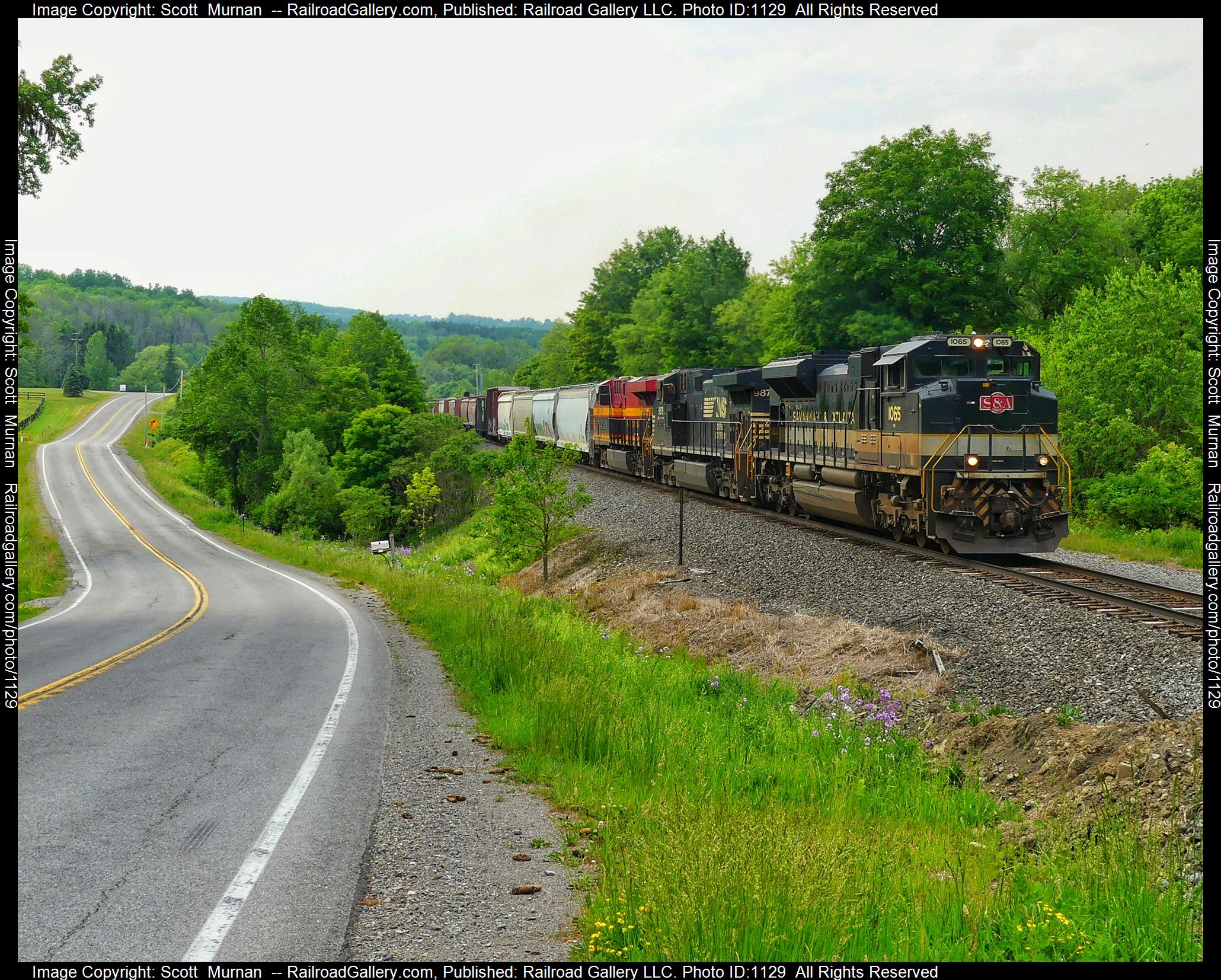 NS 1065 is a class EMD SD70ACe and  is pictured in Dale , New York, United States.  This was taken along the Southern Tier Line on the Norfolk Southern. Photo Copyright: Scott  Murnan  uploaded to Railroad Gallery on 06/11/2023. This photograph of NS 1065 was taken on Sunday, June 11, 2023. All Rights Reserved. 