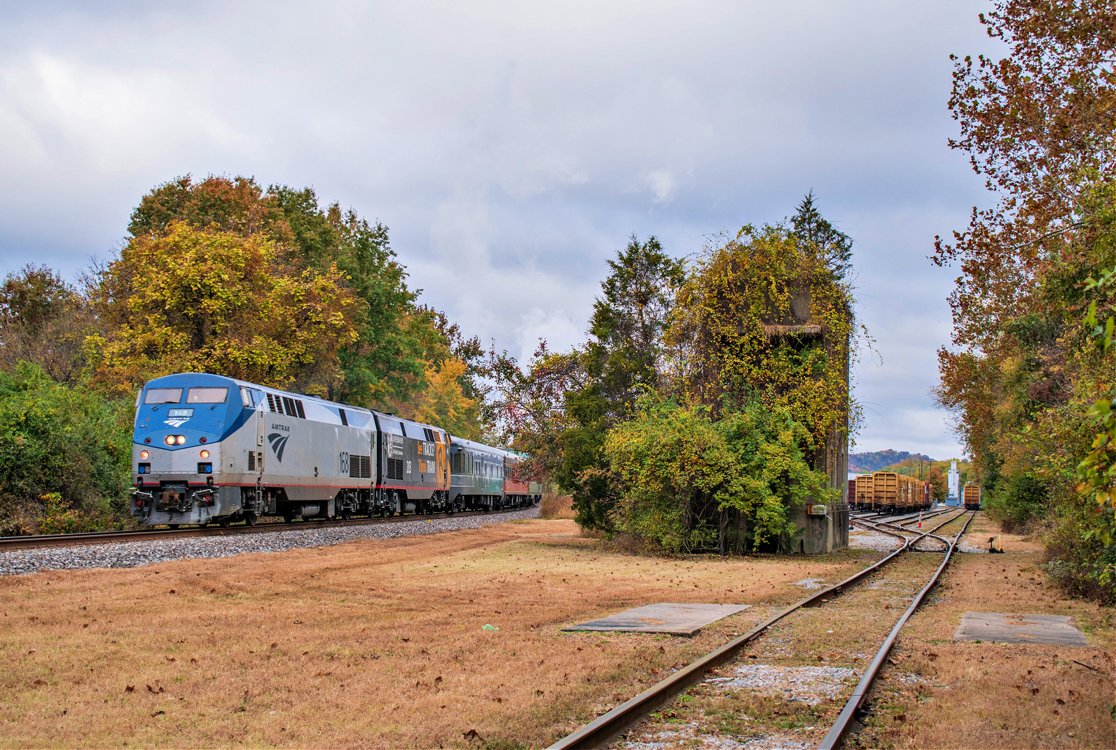 AMTK 168 is a class GE P42DC and  is pictured in Silver Grove, Kentucky, United States.  This was taken along the CSX Cincinnati Terminal Subdivision on the Amtrak. Photo Copyright: David Rohdenburg uploaded to Railroad Gallery on 11/17/2022. This photograph of AMTK 168 was taken on Tuesday, October 18, 2022. All Rights Reserved. 