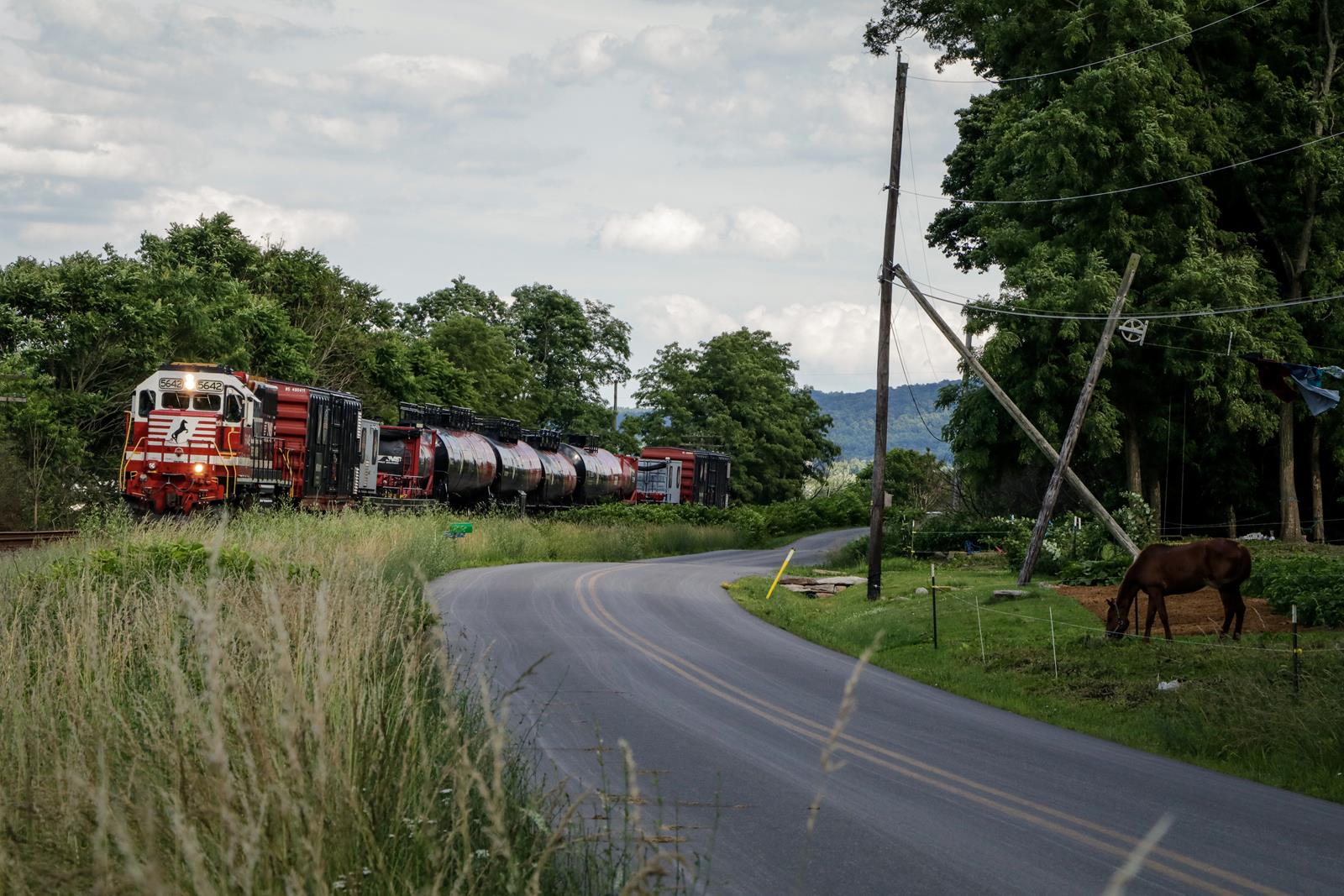 NS 5642 is a class EMD GP38-2 and  is pictured in Muncy, Pennsylvania, USA.  This was taken along the NS Buffalo Line on the Norfolk Southern. Photo Copyright: Casey Naton uploaded to Railroad Gallery on 11/17/2022. This photograph of NS 5642 was taken on Monday, June 27, 2022. All Rights Reserved. 