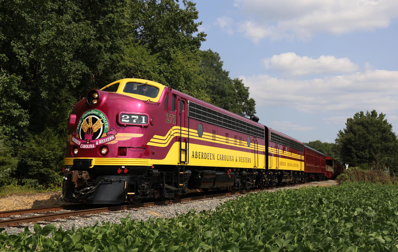 ACWR 271 is a class EMD F9A and  is pictured in Midland, North Carolina, USA.  This was taken along the ACWR Mainline on the Aberdeen Carolina and Western. Photo Copyright: Marc Lingenfelter uploaded to Railroad Gallery on 11/23/2022. This photograph of ACWR 271 was taken on Saturday, September 17, 2022. All Rights Reserved. 