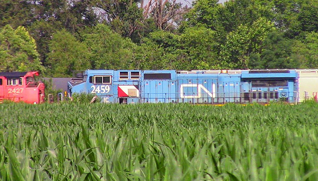 IC 2459 is a class GE C40-8W (Dash 8-40CW) and  is pictured in Centralia, Illinois, USA.  This was taken along the CN Centralia subdivision on the Canadian National Railway. Photo Copyright: Blaise Lambert uploaded to Railroad Gallery on 07/14/2023. This photograph of IC 2459 was taken on Monday, July 03, 2023. All Rights Reserved. 