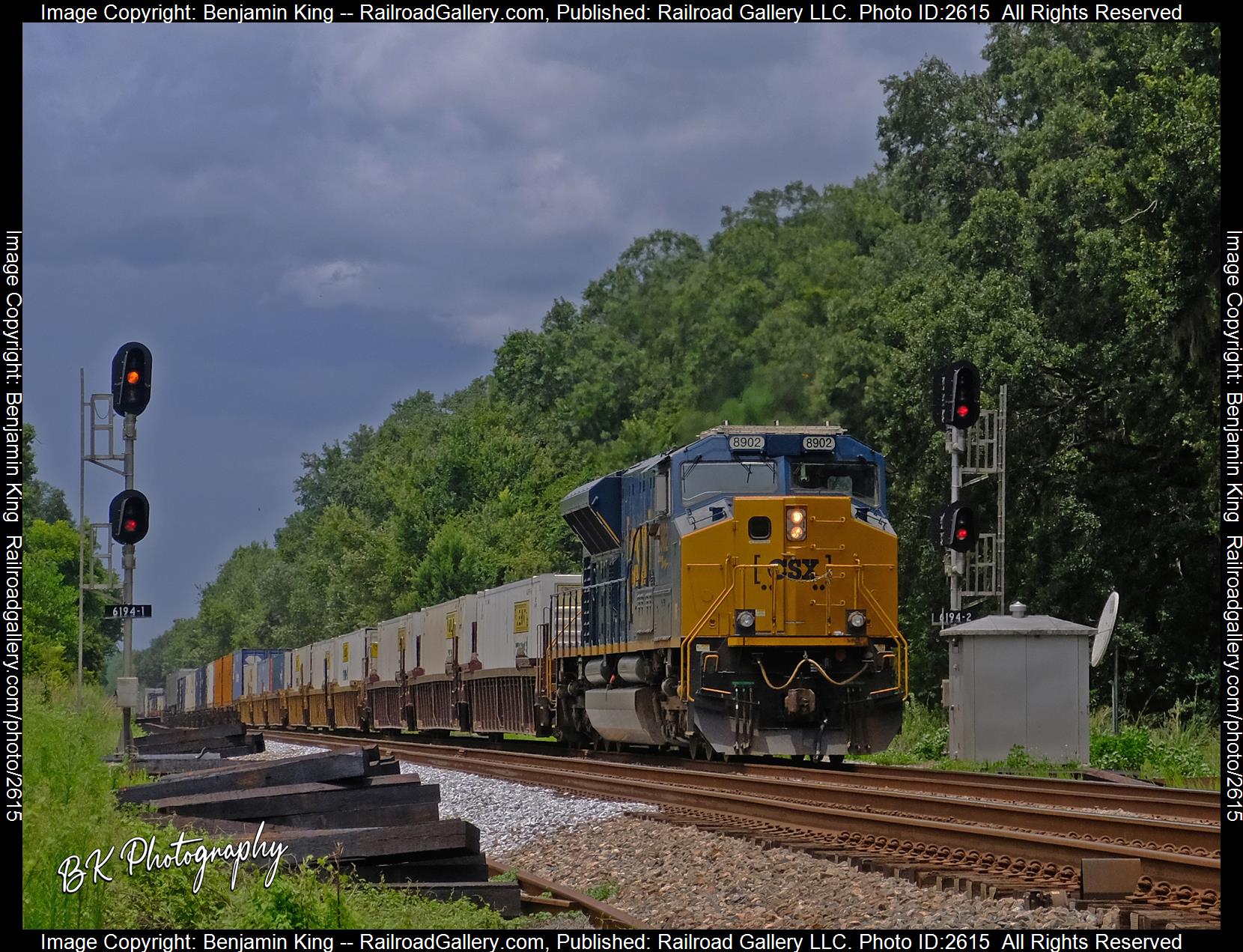 CSXT 8902 is a class EMD SD70ACe-T4 and  is pictured in Dyal, Florida, USA.  This was taken along the CSXT Nahunta Subdivision on the CSX Transportation. Photo Copyright: Benjamin King uploaded to Railroad Gallery on 12/09/2023. This photograph of CSXT 8902 was taken on Tuesday, July 19, 2022. All Rights Reserved. 