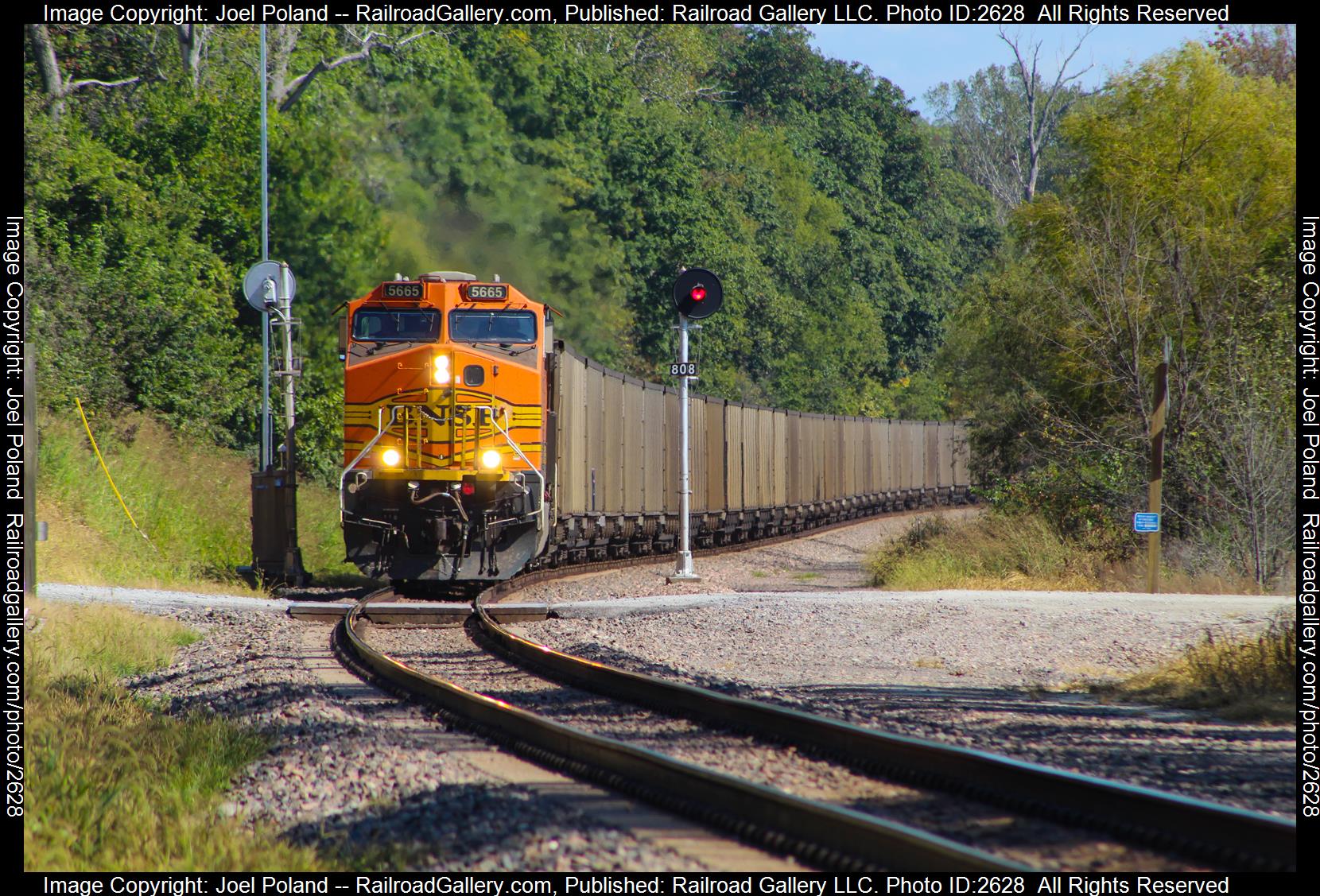 BNSF 5665 is a class GE AC4400CW and  is pictured in Forbes, Missouri, USA.  This was taken along the St. Joseph Sub on the BNSF Railway. Photo Copyright: Joel Poland uploaded to Railroad Gallery on 12/10/2023. This photograph of BNSF 5665 was taken on Sunday, October 03, 2021. All Rights Reserved. 