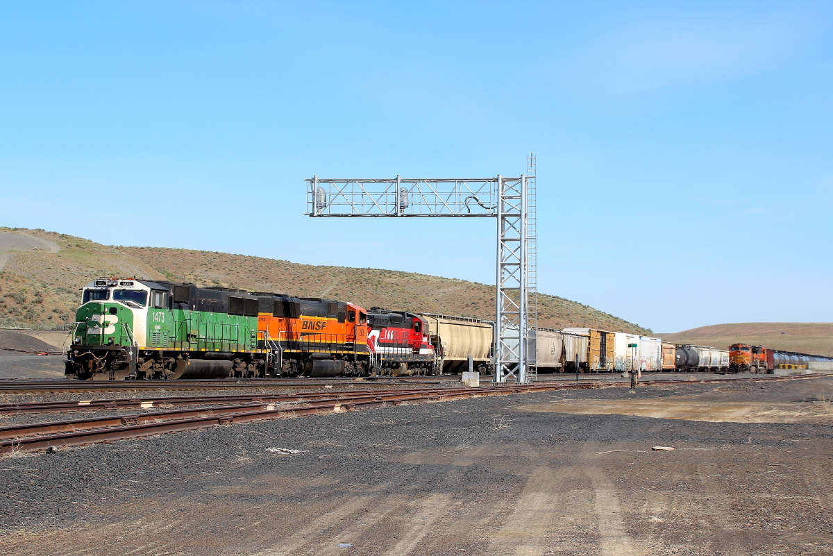 BNSF 1473 is a class EMD SD60 and  is pictured in Connell, Washington, USA.  This was taken along the Pasco/BNSF on the BNSF Railway. Photo Copyright: Rick Doughty uploaded to Railroad Gallery on 12/27/2023. This photograph of BNSF 1473 was taken on Monday, May 03, 2021. All Rights Reserved. 