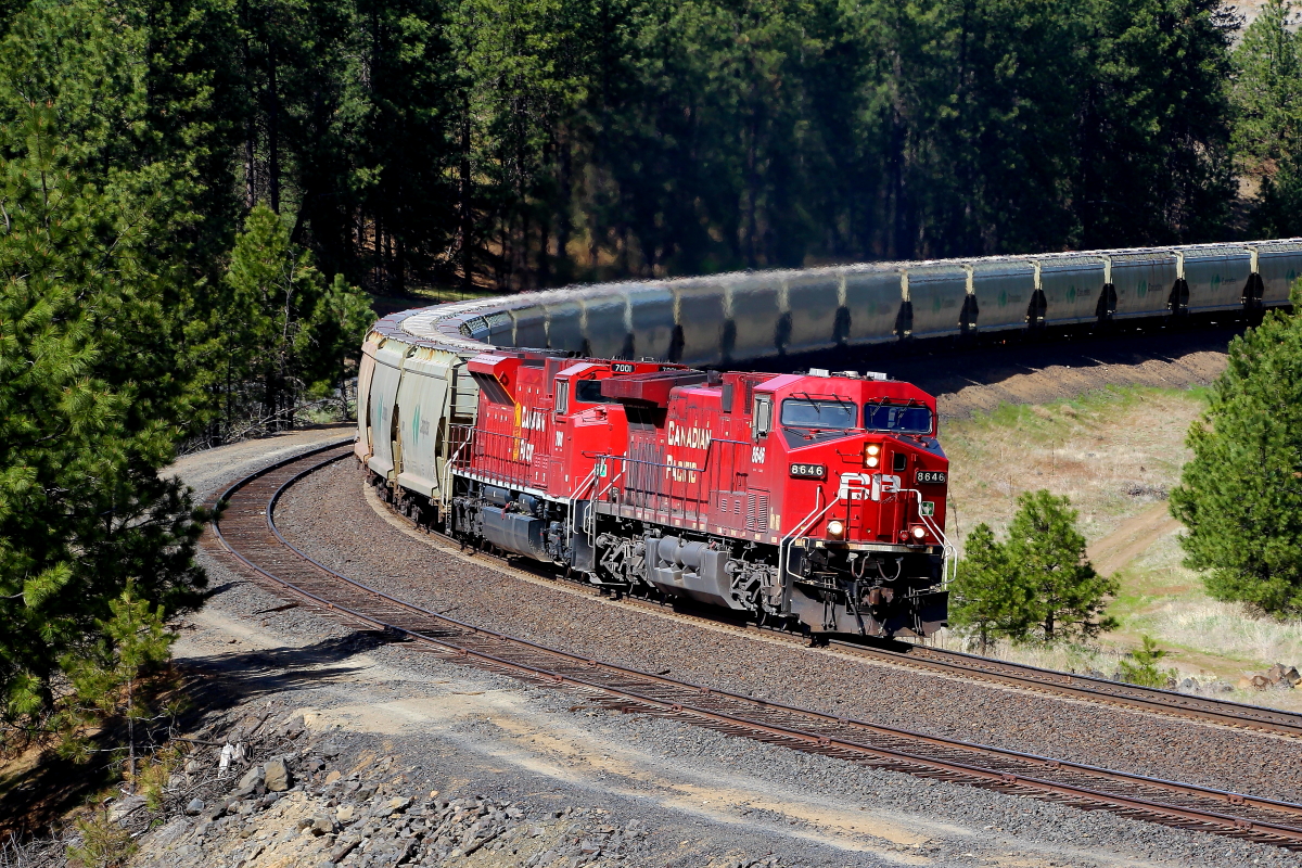 CP 8646 is a class GE AC4400CW and  is pictured in Marshall, Washington, USA.  This was taken along the Pasco/BNSF on the Canadian Pacific Railway. Photo Copyright: Rick Doughty uploaded to Railroad Gallery on 12/28/2023. This photograph of CP 8646 was taken on Sunday, May 02, 2021. All Rights Reserved. 