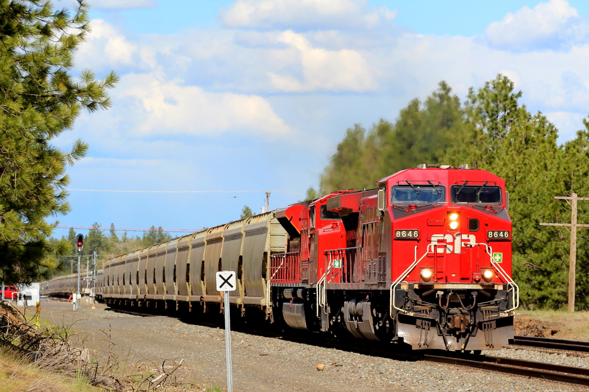 CP 8646 is a class GE AC4400CW and  is pictured in Cheney, Washington, USA.  This was taken along the Spokane/UP on the Canadian Pacific Railway. Photo Copyright: Rick Doughty uploaded to Railroad Gallery on 12/28/2023. This photograph of CP 8646 was taken on Sunday, May 02, 2021. All Rights Reserved. 