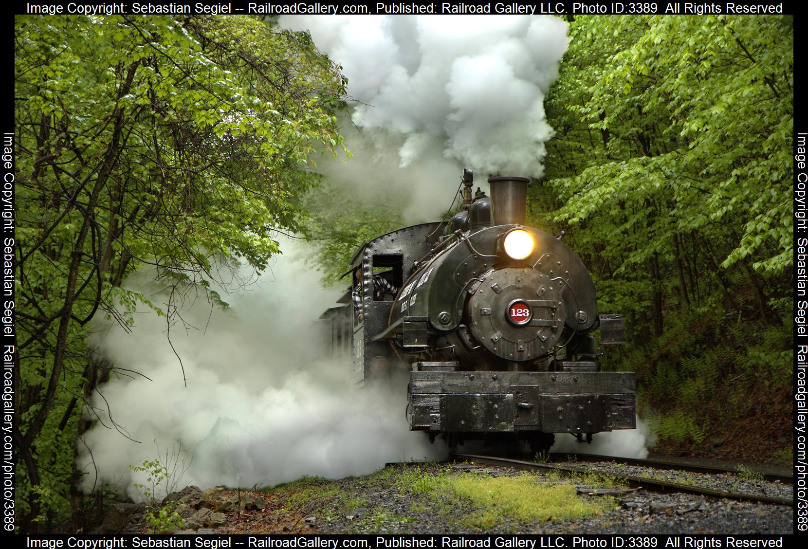 123 is a class 0-4-0 and  is pictured in Ashland, Pennsylvania, United States.  This was taken along the Pioneer Tunnel on the Pioneer Tunnel Coal Mine. Photo Copyright: Sebastian Segiel uploaded to Railroad Gallery on 05/16/2024. This photograph of 123 was taken on Friday, May 10, 2024. All Rights Reserved. 