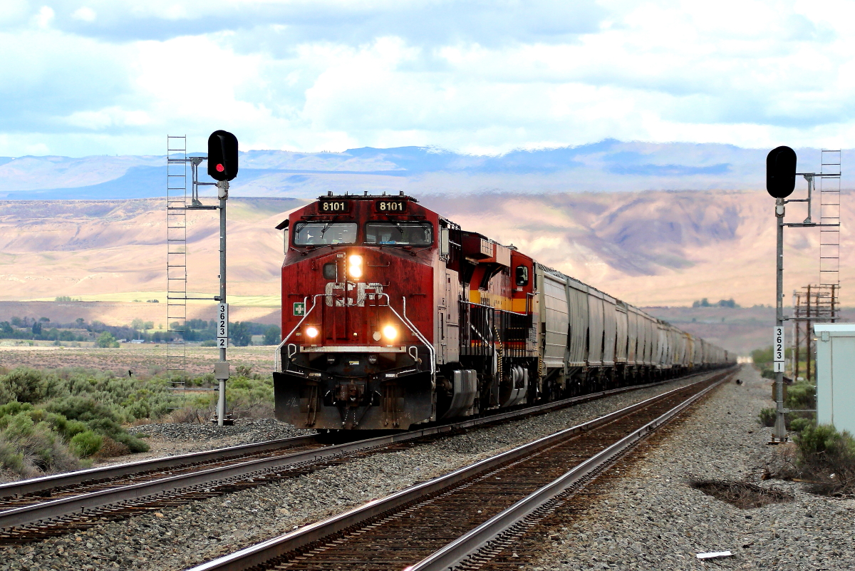 CP 8101 is a class GE AC4400CW and  is pictured in King Hill, Idaho, USA.  This was taken along the Nampa/UP on the Canadian Pacific Railway. Photo Copyright: Rick Doughty uploaded to Railroad Gallery on 05/26/2024. This photograph of CP 8101 was taken on Saturday, May 25, 2024. All Rights Reserved. 