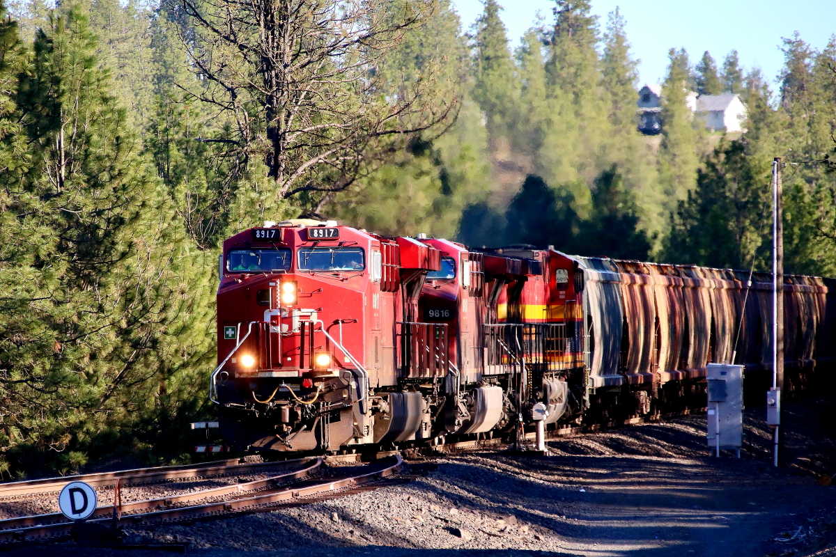 CP 8917  is a class GE ES44AC and  is pictured in Marshall, Washington, USA.  This was taken along the Lakeside/BNSF on the Canadian Pacific Railway. Photo Copyright: Rick Doughty uploaded to Railroad Gallery on 06/28/2024. This photograph of CP 8917  was taken on Saturday, April 20, 2024. All Rights Reserved. 