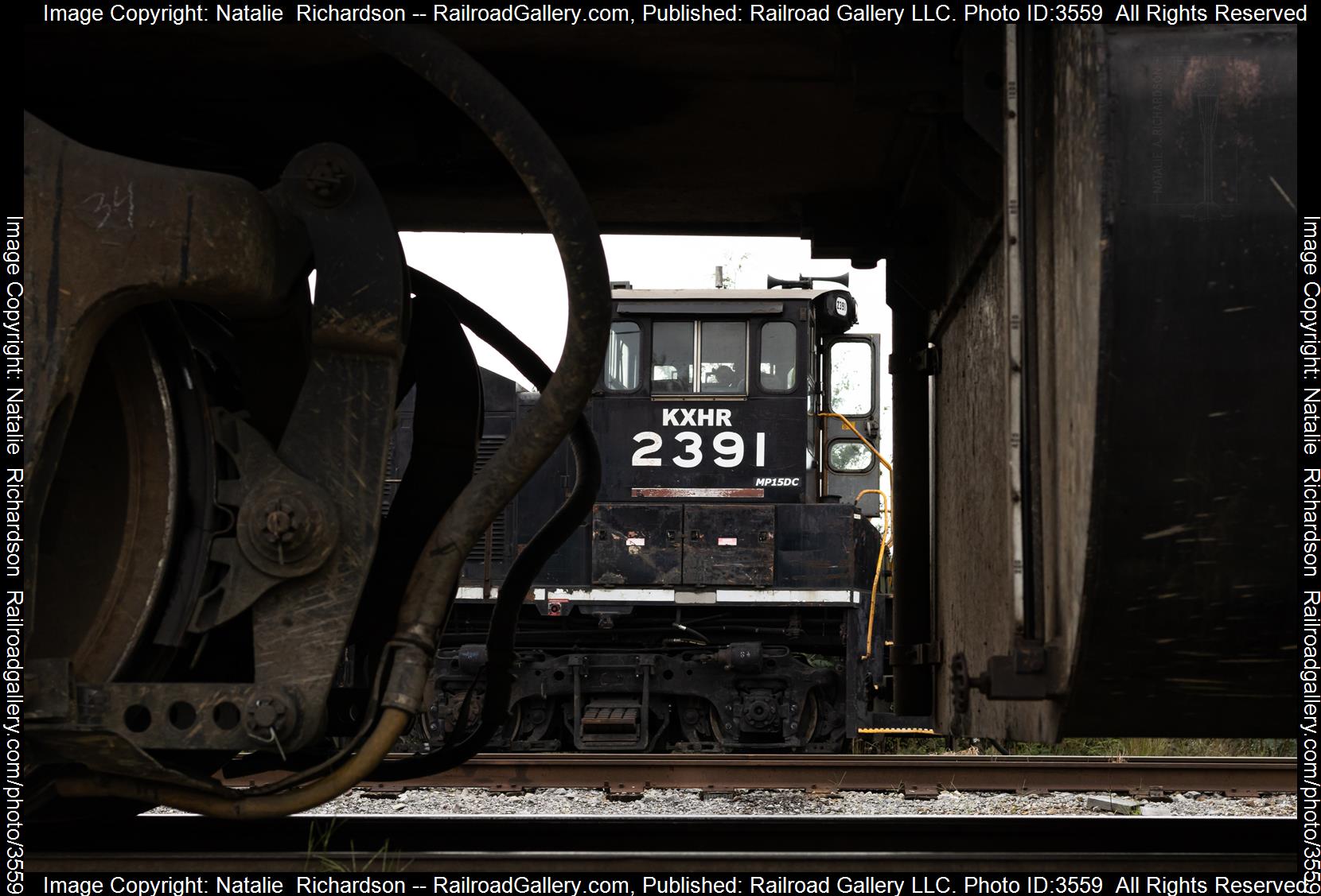 KXHR 2391 is a class EMD MP15DC and  is pictured in Knoxville, Tennessee, USA.  This was taken along the K&O District on the Knoxville and Holston River Railroad. Photo Copyright: Natalie  Richardson uploaded to Railroad Gallery on 07/04/2024. This photograph of KXHR 2391 was taken on Friday, October 08, 2021. All Rights Reserved. 