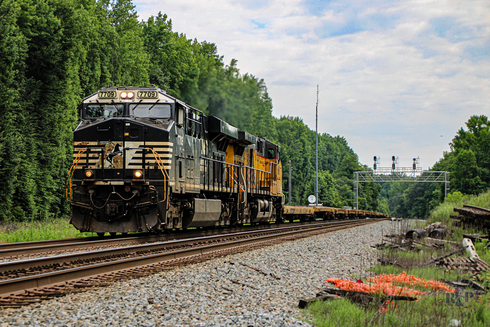 NS 7709 is a class GE ES44DC and  is pictured in Arkendale, Virginia, USA.  This was taken along the RF&P Subdivision on the Norfolk Southern. Photo Copyright: RF&P Productions uploaded to Railroad Gallery on 08/20/2024. This photograph of NS 7709 was taken on Tuesday, June 11, 2024. All Rights Reserved. 