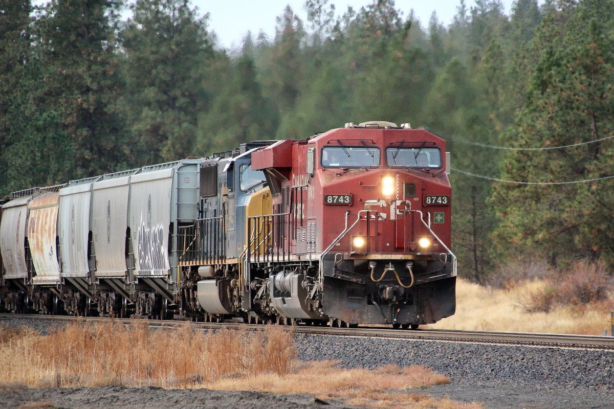 CP 8743 is a class GE ES44AC and  is pictured in Marshall, Washington, USA.  This was taken along the Lakeside/BNSF on the Canadian Pacific Railway. Photo Copyright: Rick Doughty uploaded to Railroad Gallery on 11/04/2024. This photograph of CP 8743 was taken on Friday, October 18, 2024. All Rights Reserved. 