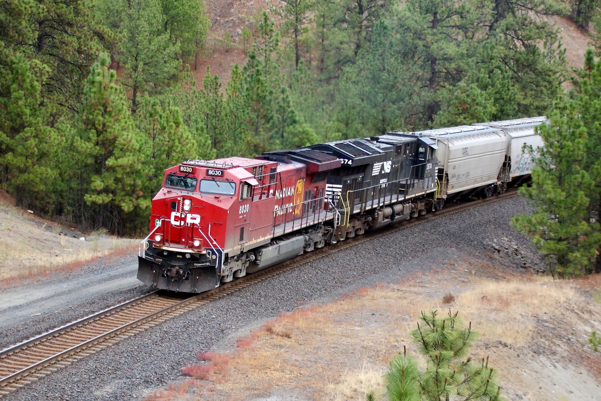 CP 8030 is a class GE AC4400CW and  is pictured in Marshall, Washington, USA.  This was taken along the Lakeside/BNSF on the Canadian Pacific Railway. Photo Copyright: Rick Doughty uploaded to Railroad Gallery on 11/04/2024. This photograph of CP 8030 was taken on Friday, October 18, 2024. All Rights Reserved. 