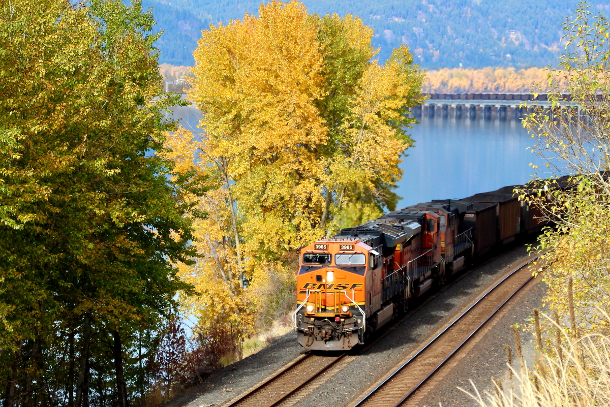 BNSF 3985 is a class GE ET44C4 and  is pictured in Sandpoint, Idaho, USA.  This was taken along the Spokane/BNSF on the BNSF Railway. Photo Copyright: Rick Doughty uploaded to Railroad Gallery on 11/08/2024. This photograph of BNSF 3985 was taken on Sunday, October 20, 2024. All Rights Reserved. 