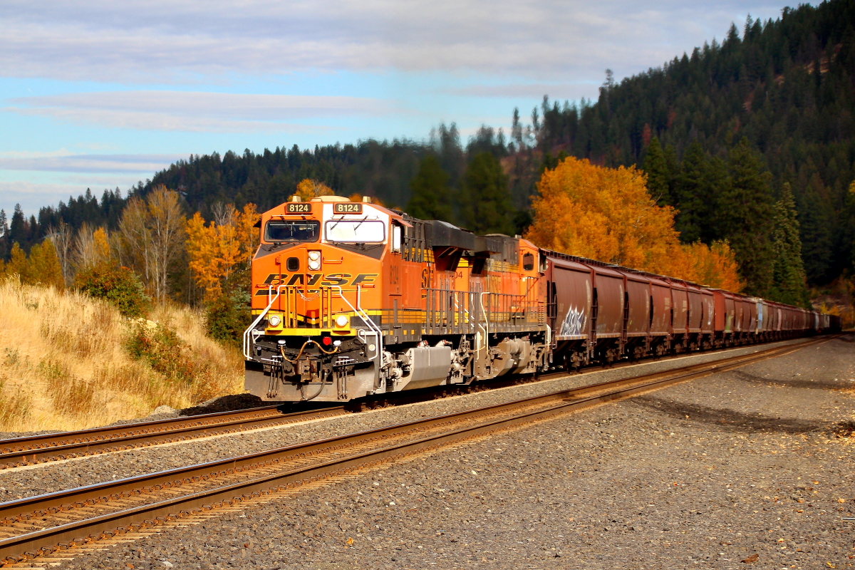 BNSF 8124 is a class GE ES44C4 and  is pictured in Algoma, Idaho, USA.  This was taken along the Spokane/BNSF on the BNSF Railway. Photo Copyright: Rick Doughty uploaded to Railroad Gallery on 11/13/2024. This photograph of BNSF 8124 was taken on Sunday, October 20, 2024. All Rights Reserved. 