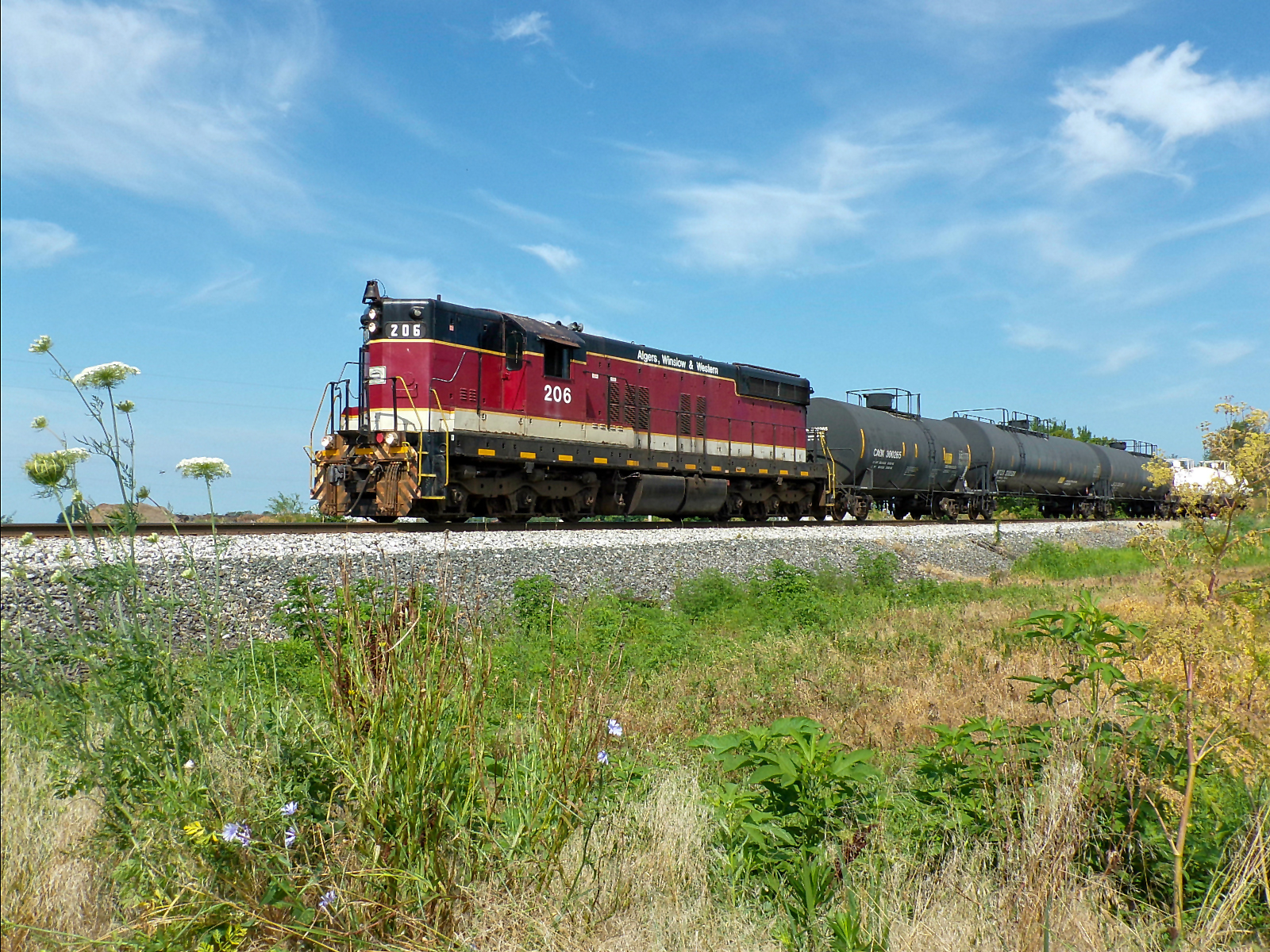 IERR 206 is a class EMD SD9 and  is pictured in Cottage Grove, Indiana, United States.  This was taken along the CSX Indianapolis Subdivision on the Indiana Eastern Railroad. Photo Copyright: David Rohdenburg uploaded to Railroad Gallery on 01/09/2023. This photograph of IERR 206 was taken on Thursday, July 18, 2019. All Rights Reserved. 