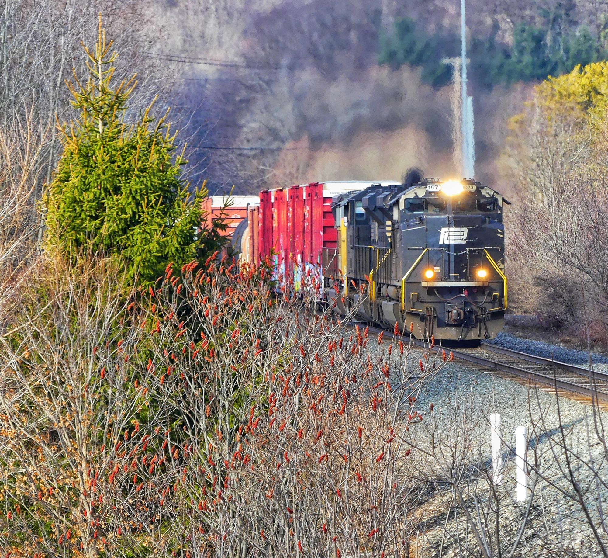 NS 1073 is a class EMD SD70ACe and  is pictured in Dale , New York, USA.  This was taken along the Southern Tier  on the Norfolk Southern. Photo Copyright: Scott  Murnan  uploaded to Railroad Gallery on 01/09/2023. This photograph of NS 1073 was taken on Monday, January 09, 2023. All Rights Reserved. 