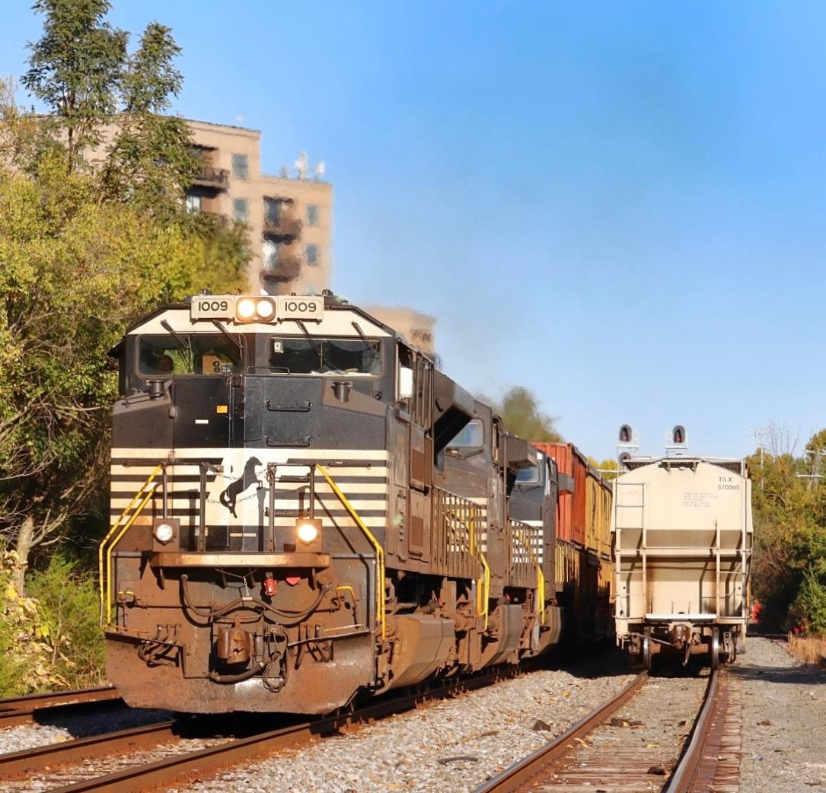 NS 1009 is a class EMD SD70ACe and  is pictured in Charlottesville, VA, United States.  This was taken along the NS Washington District  on the Norfolk Southern. Photo Copyright: Robby Lefkowitz uploaded to Railroad Gallery on 11/12/2022. This photograph of NS 1009 was taken on Monday, October 24, 2022. All Rights Reserved. 