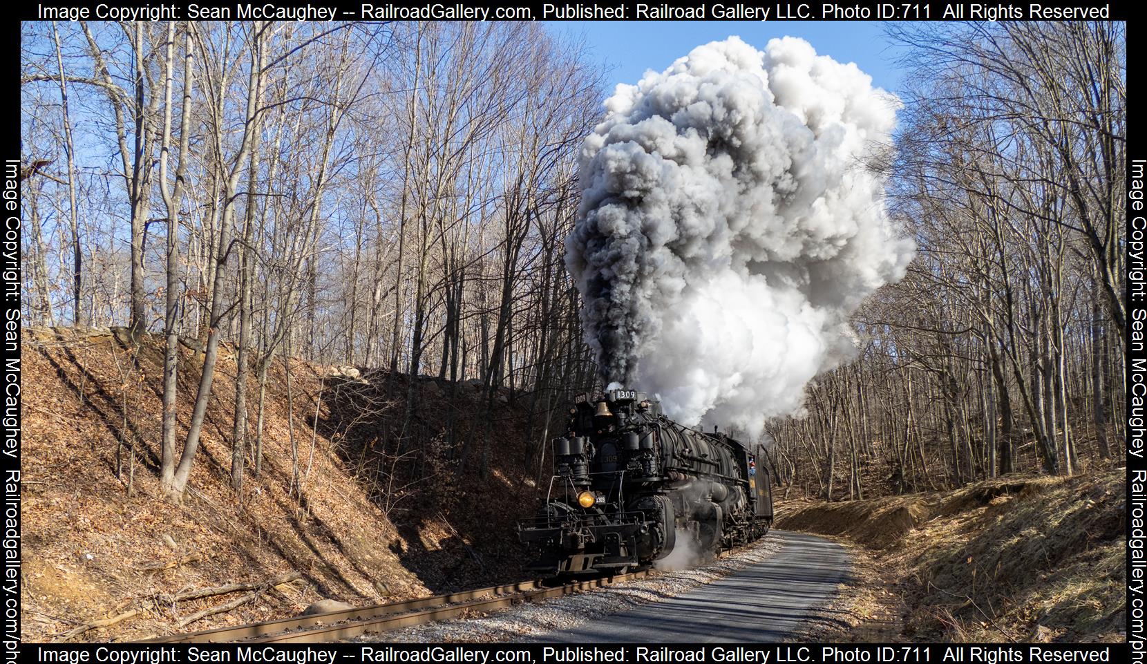 1309 is a class 2-6-6-2 and  is pictured in Cumberland, Maryland, United States.  This was taken along the Western Maryland Scenic Railroad on the Western Maryland Scenic Railroad. Photo Copyright: Sean McCaughey uploaded to Railroad Gallery on 02/20/2023. This photograph of 1309 was taken on Sunday, February 19, 2023. All Rights Reserved. 