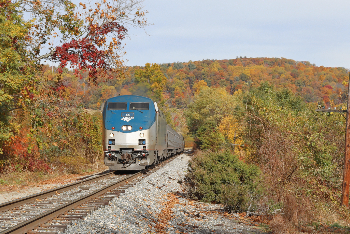 Amtrak 44 is a class GE P42DC and  is pictured in Jarman Gap , Virginia, USA.  This was taken along the North Mountain Subdivision  on the Buckingham Branch Railroad. Photo Copyright: Robby Lefkowitz uploaded to Railroad Gallery on 11/13/2022. This photograph of Amtrak 44 was taken on Sunday, October 30, 2022. All Rights Reserved. 