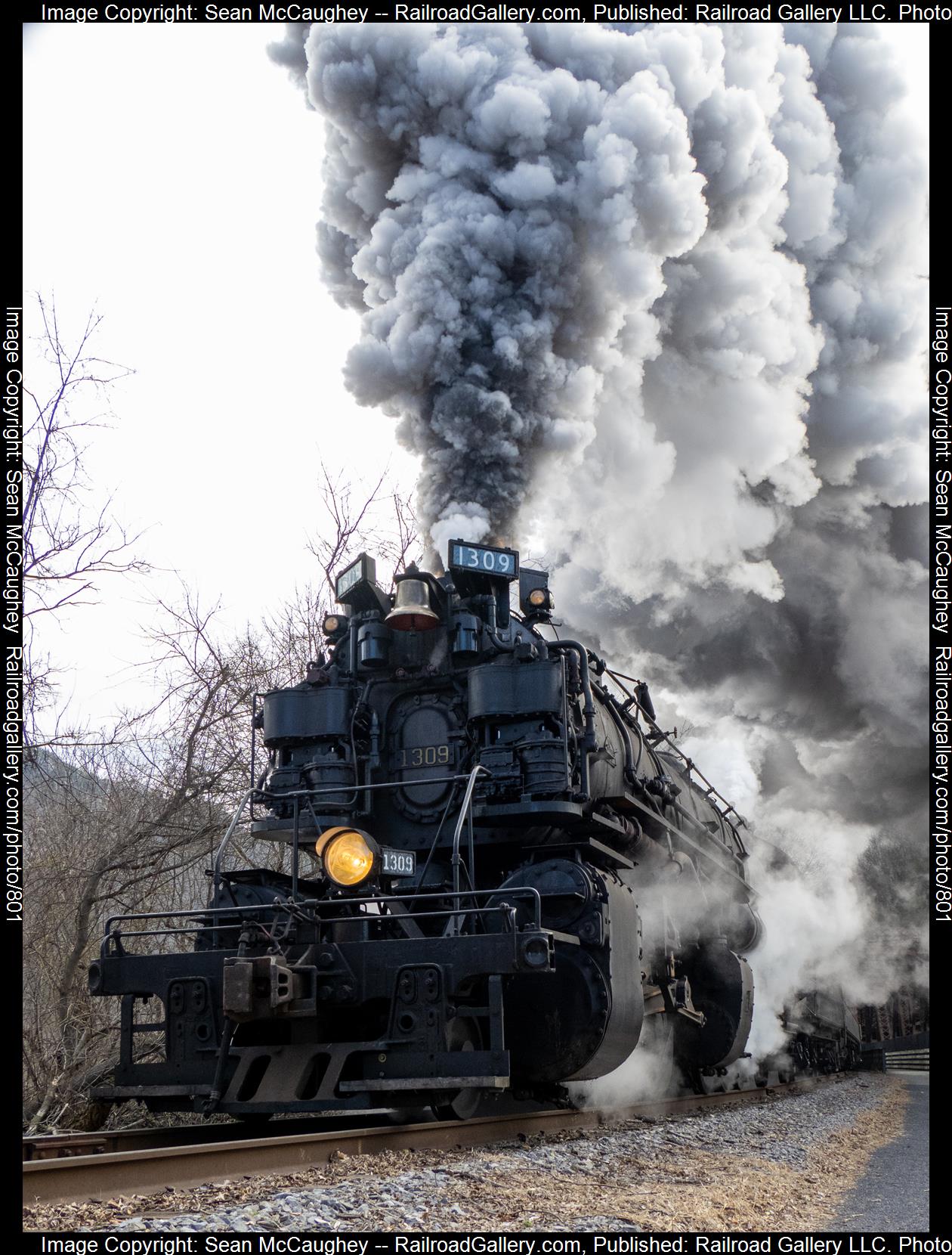 1309 is a class 2-6-6-2 and  is pictured in Cumberland, Maryland, United States.  This was taken along the Western Maryland Scenic Railroad on the Western Maryland Scenic Railroad. Photo Copyright: Sean McCaughey uploaded to Railroad Gallery on 03/04/2023. This photograph of 1309 was taken on Monday, February 20, 2023. All Rights Reserved. 