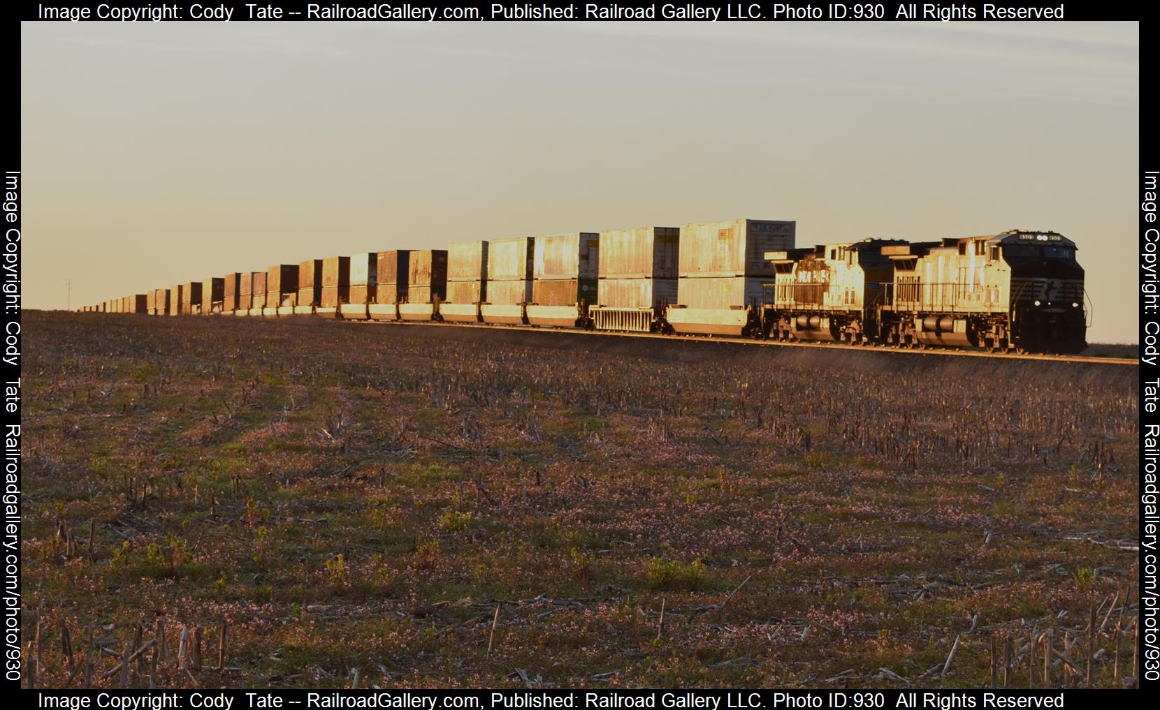 NS 4501 is a class AC44C6M  and  is pictured in Walnut Hill, Illinois, USA.  This was taken along the Southern west district  on the Norfolk Southern. Photo Copyright: Cody  Tate uploaded to Railroad Gallery on 04/07/2023. This photograph of NS 4501 was taken on Friday, April 07, 2023. All Rights Reserved. 